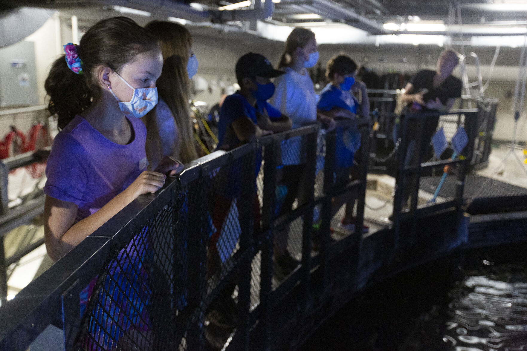 Animal Care Camp